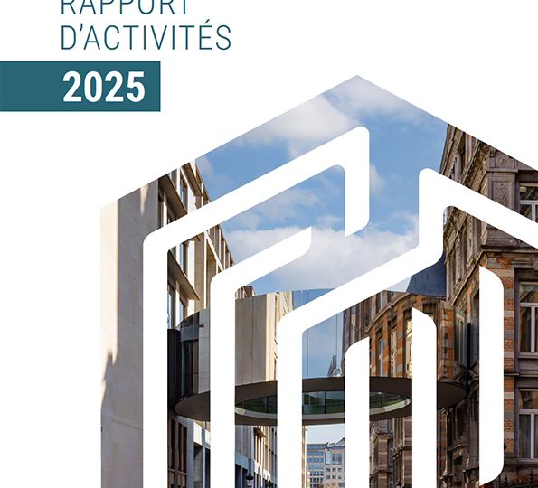 CRI_rapport annuel 2025-